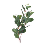 Hill Interiors Summer Seeded Eucalyptus faux stem with rounded green leaves and small seed clusters along reddish-brown branches on a white background.