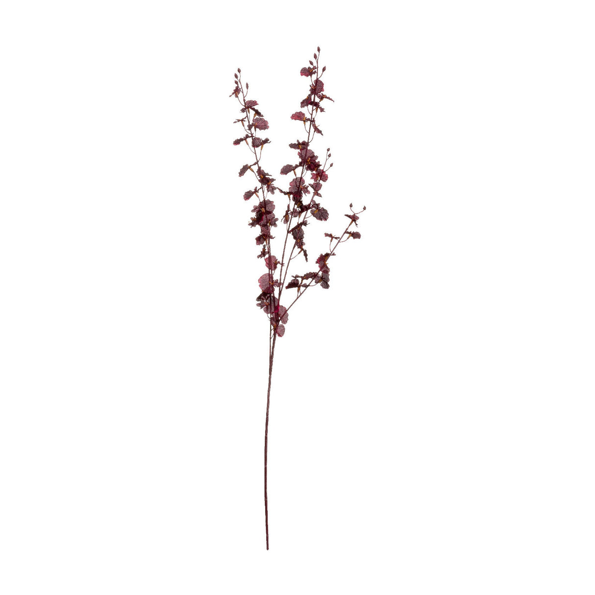 Deep Burgundy Orchid Spray