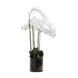 Hill Interiors Large White Tall Orchid faux plant with arching white phalaenopsis blooms and green leaves in a clear glass pot with root detail.