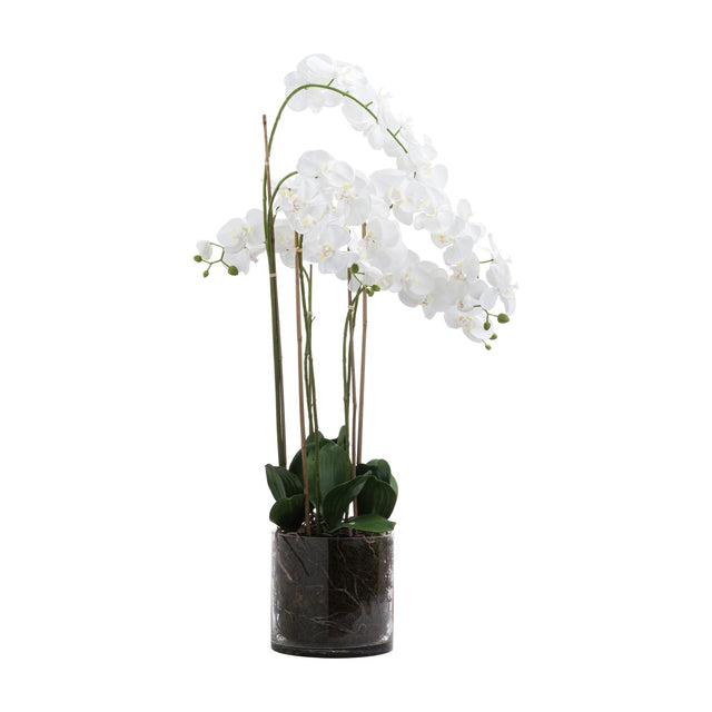 Hill Interiors Large White Tall Orchid faux plant with arching white phalaenopsis blooms and green leaves in a clear glass pot with root detail.