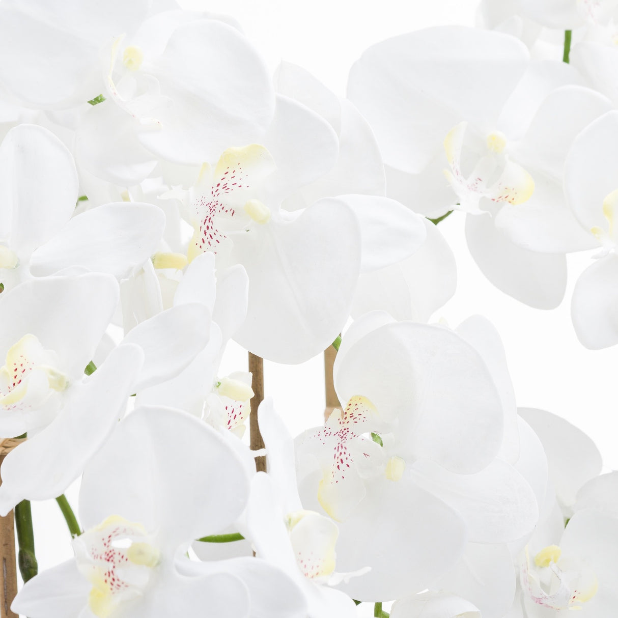 Close-up of Hill Interiors Large White Tall Orchid faux plant showing waxy white petals with yellow centres and red speckled throats on arching stems.