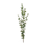 Hill Interiors Large Cineraria Eucalyptus Spray, a tall faux stem with rounded green leaves along branching shoots, shown against a plain white background.