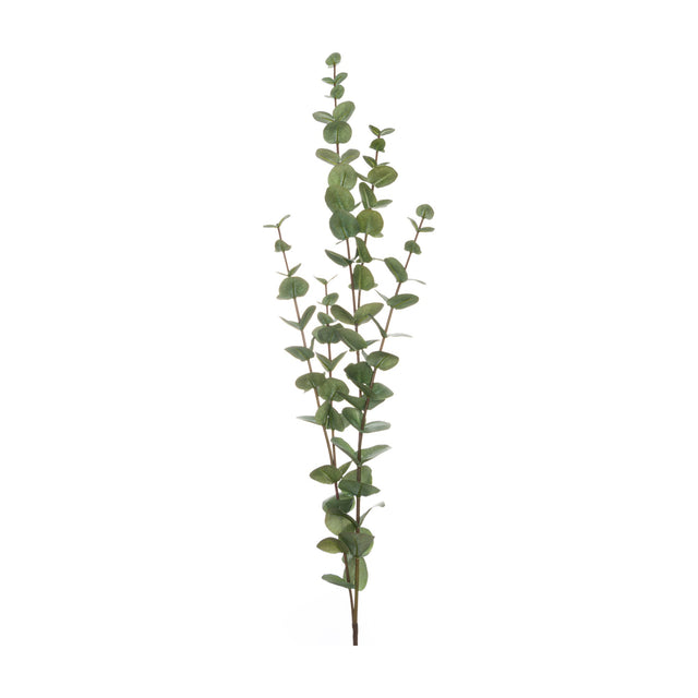 Hill Interiors Large Cineraria Eucalyptus Spray, a tall faux stem with rounded green leaves along branching shoots, shown against a plain white background.