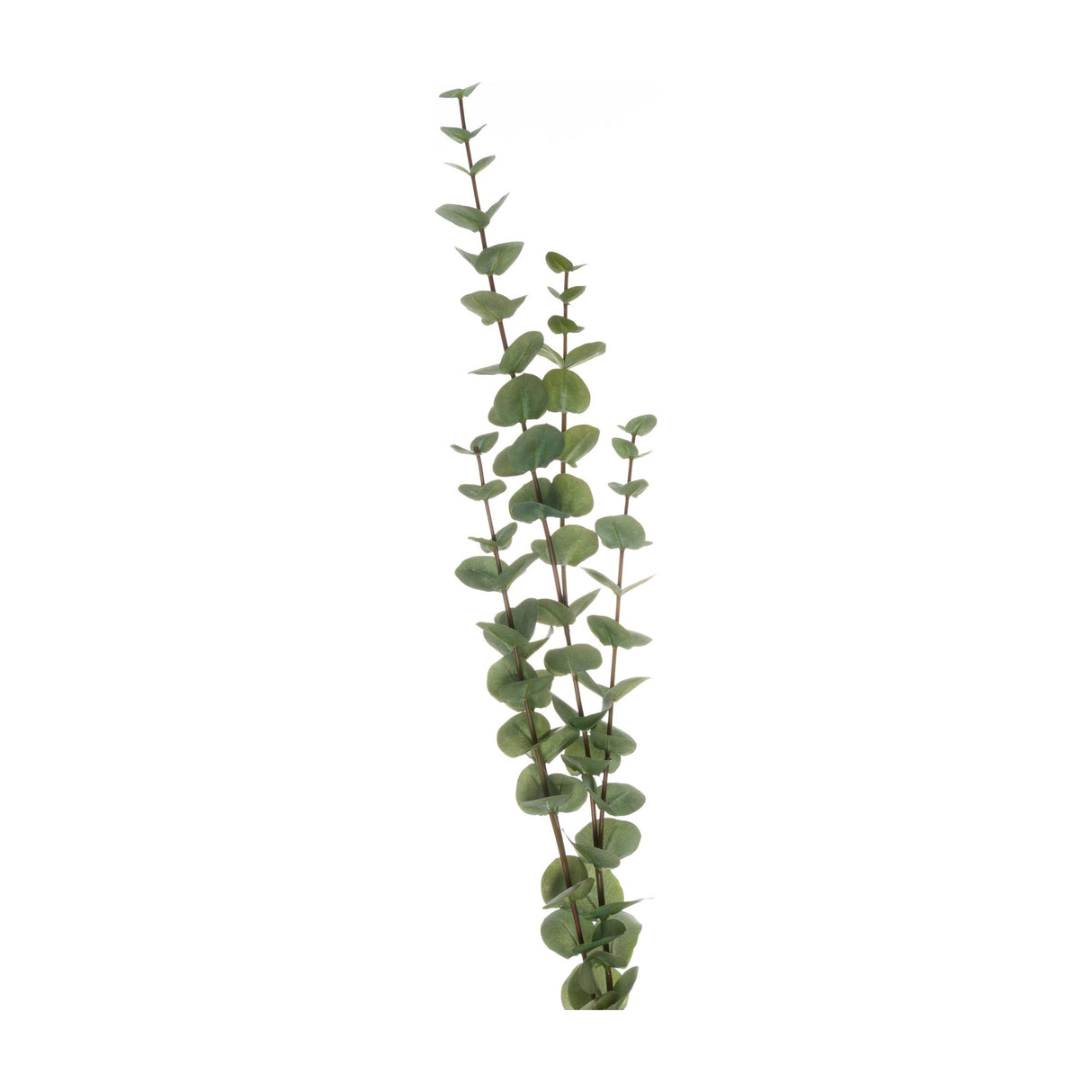 Hill Interiors Large Cineraria Eucalyptus Spray with tall, bendable stems and layered rounded green leaves, shown against a plain white background.