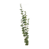 Hill Interiors Large Cineraria Eucalyptus Spray with tall, bendable stems and layered rounded green leaves, shown against a plain white background.