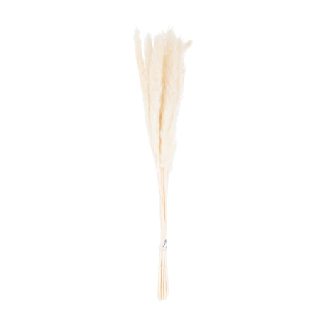 Hill Interiors Mini White Pampas Grass bunch of 15 faux stems with soft feathery plumes, tied at the base, shown against a plain white background.