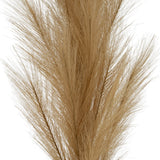 Close-up of Hill Interiors Large Faux Pampas Grass Stem showing dense, feathery beige fronds on a plain white background.
