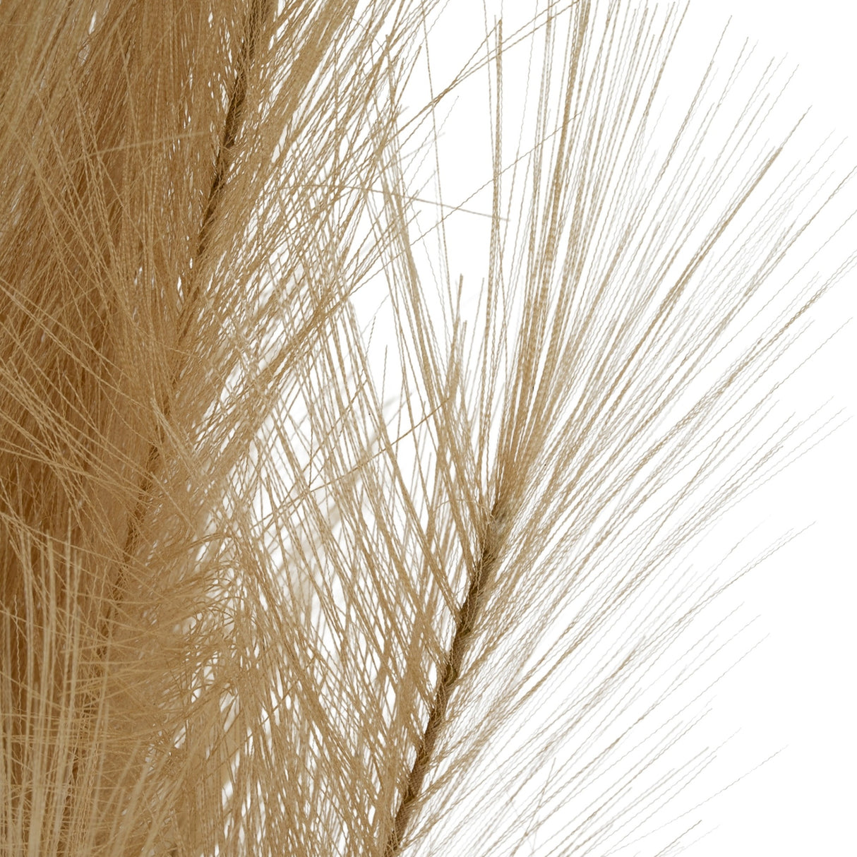 Close-up of Hill Interiors Large Faux Pampas Grass Stem showing dense feathery beige fronds against a plain white background.