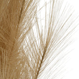 Close-up of Hill Interiors Large Faux Pampas Grass Stem showing dense feathery beige fronds against a plain white background.