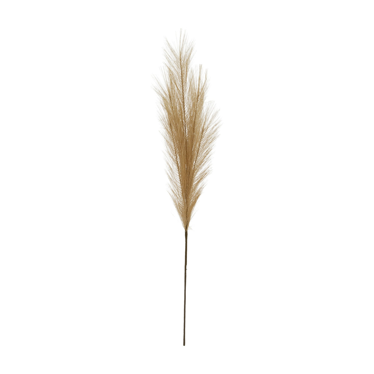Hill Interiors Faux Pampas Grass Stem with feathery beige plume on a slim brown stalk, shown against a plain white background.