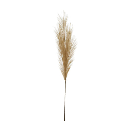 Hill Interiors Faux Pampas Grass Stem with feathery beige plume on a slim brown stalk, shown against a plain white background.