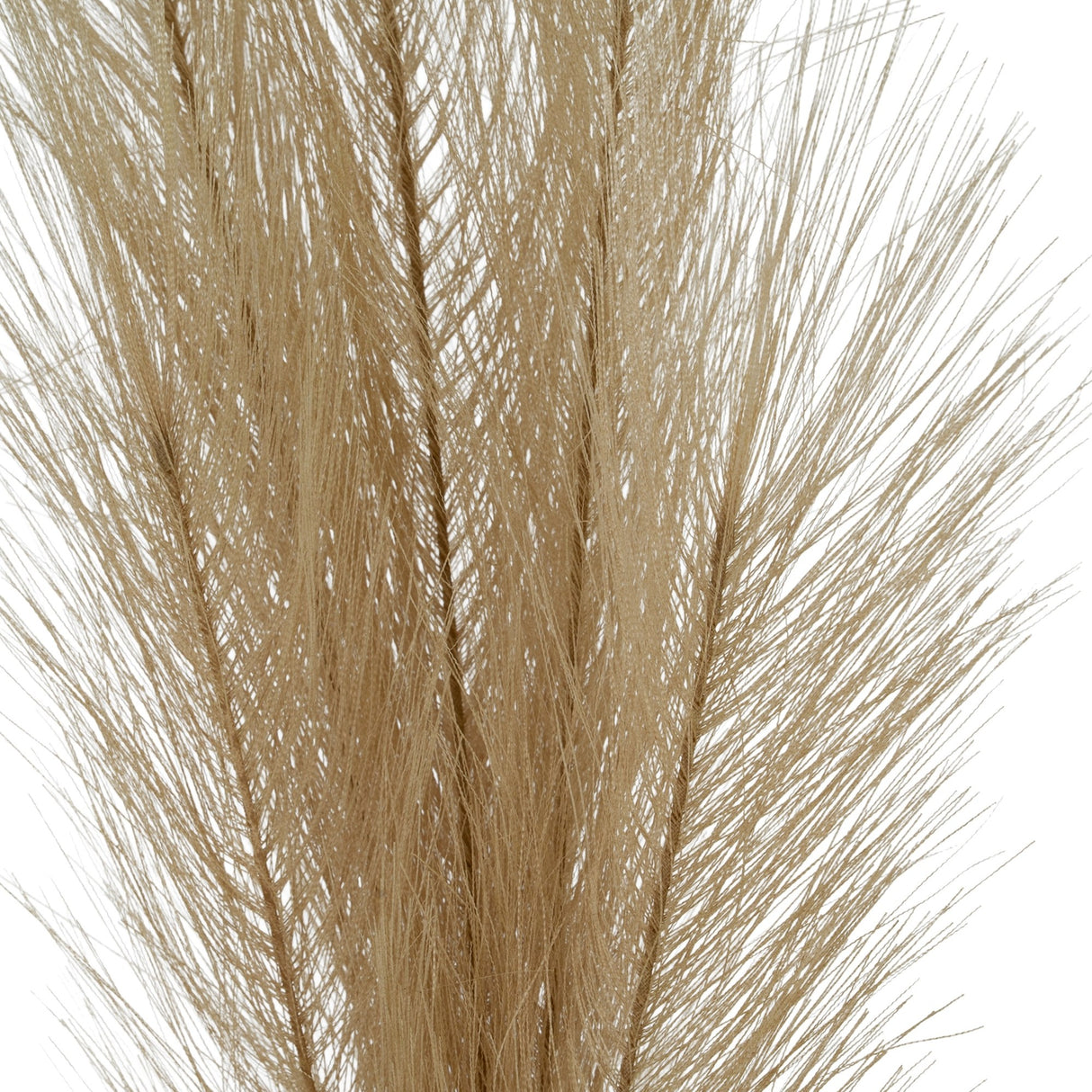 Close-up of Hill Interiors Faux Pampas Grass Stem showing feathery beige plastic strands forming a full, cloud-like plume against a white background.