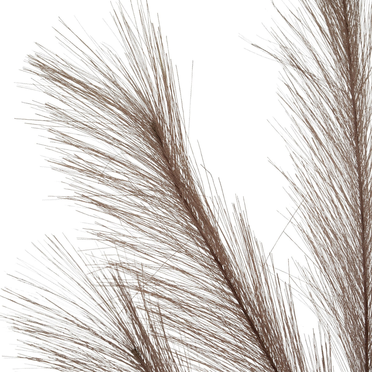 Close-up of Hill Interiors Grey Large Faux Pampas Grass Stem showing wispy grey-brown plumes with fine feathery strands against a plain white background.