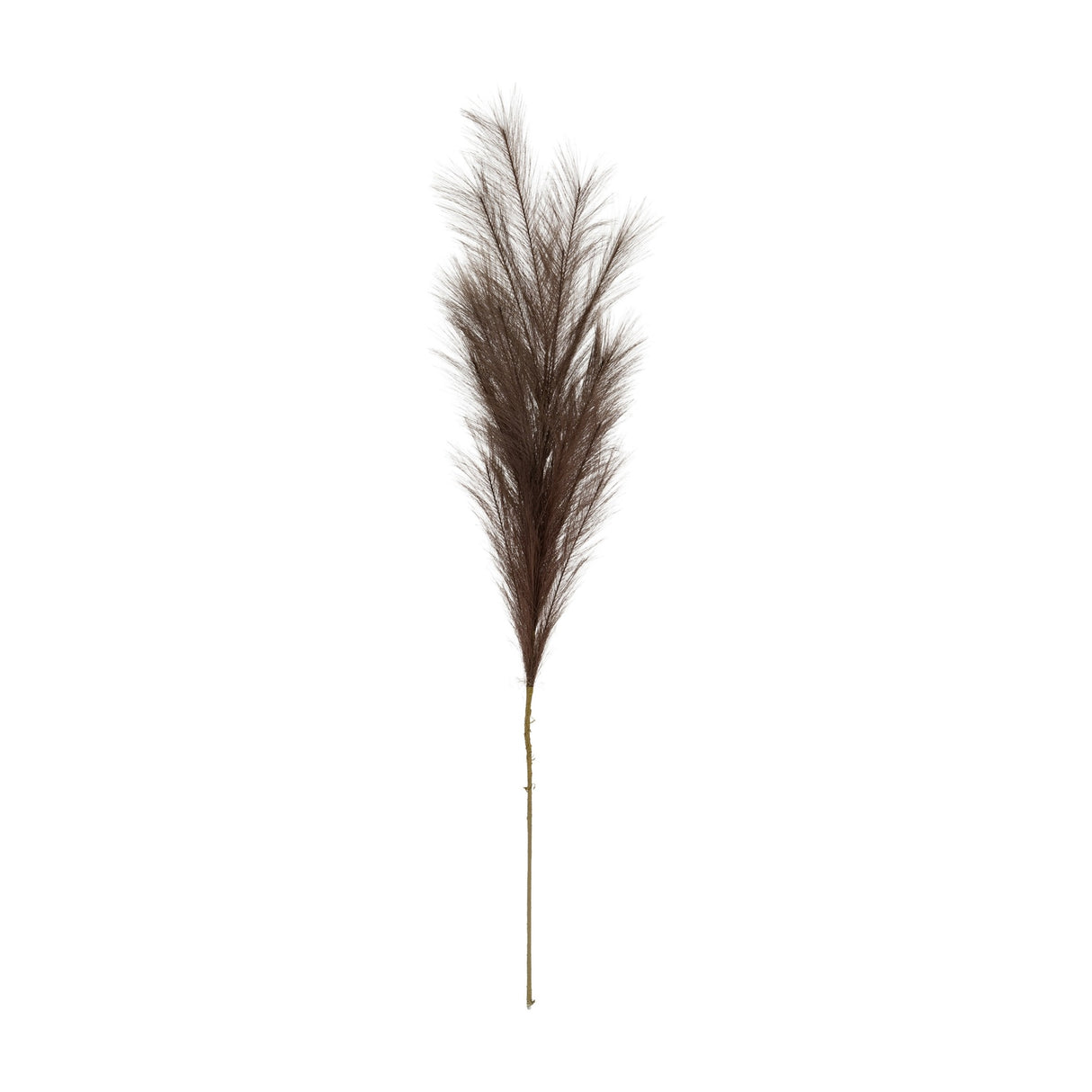 Hill Interiors grey faux pampas grass stem with a tall feathery plume on a slender stem, shown against a plain white background.