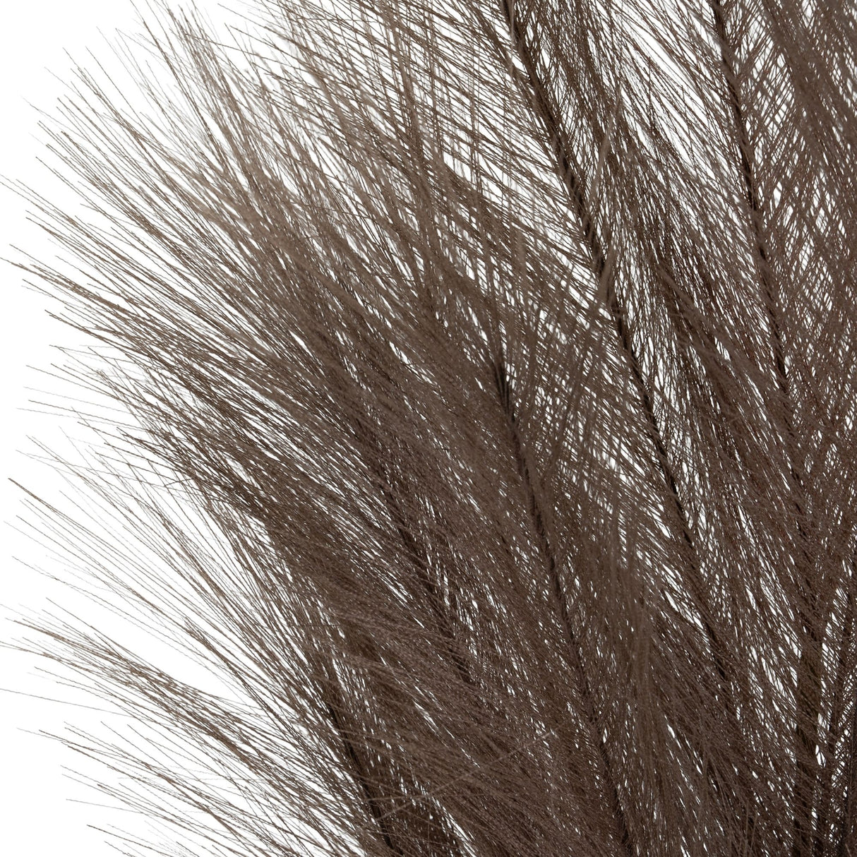 Close-up of the Hill Interiors Grey Faux Pampas Grass Stem showing fine feathery plastic strands in a muted grey tone against a white background.