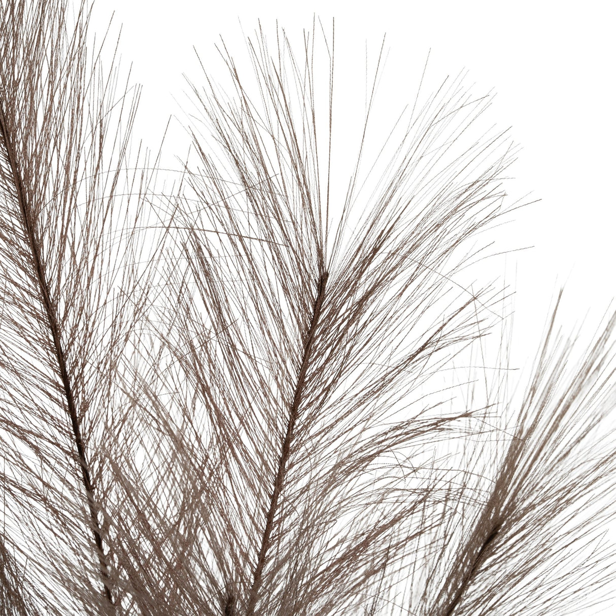 Close-up of the Hill Interiors Grey Faux Pampas Grass Stem showing fine feathery strands on slender branches against a plain white background.