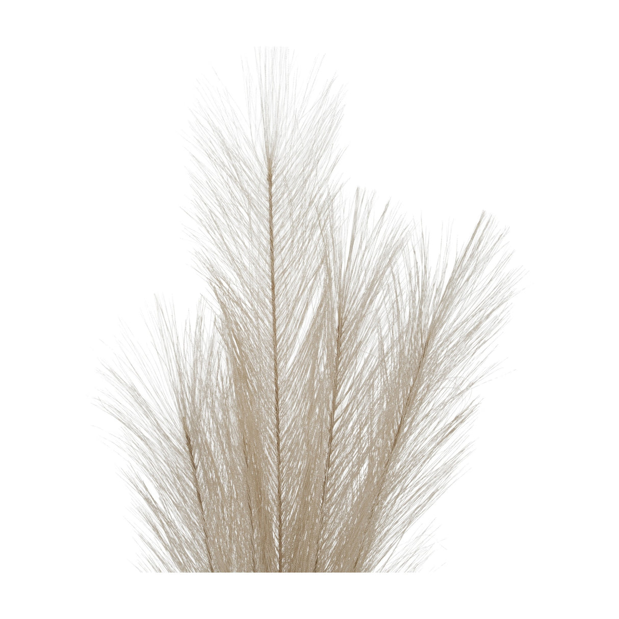 Hill Interiors Bleached Large Faux Pampas Grass Stem in white with fine feathery plumes fanning from a tall central stem on a plain background.