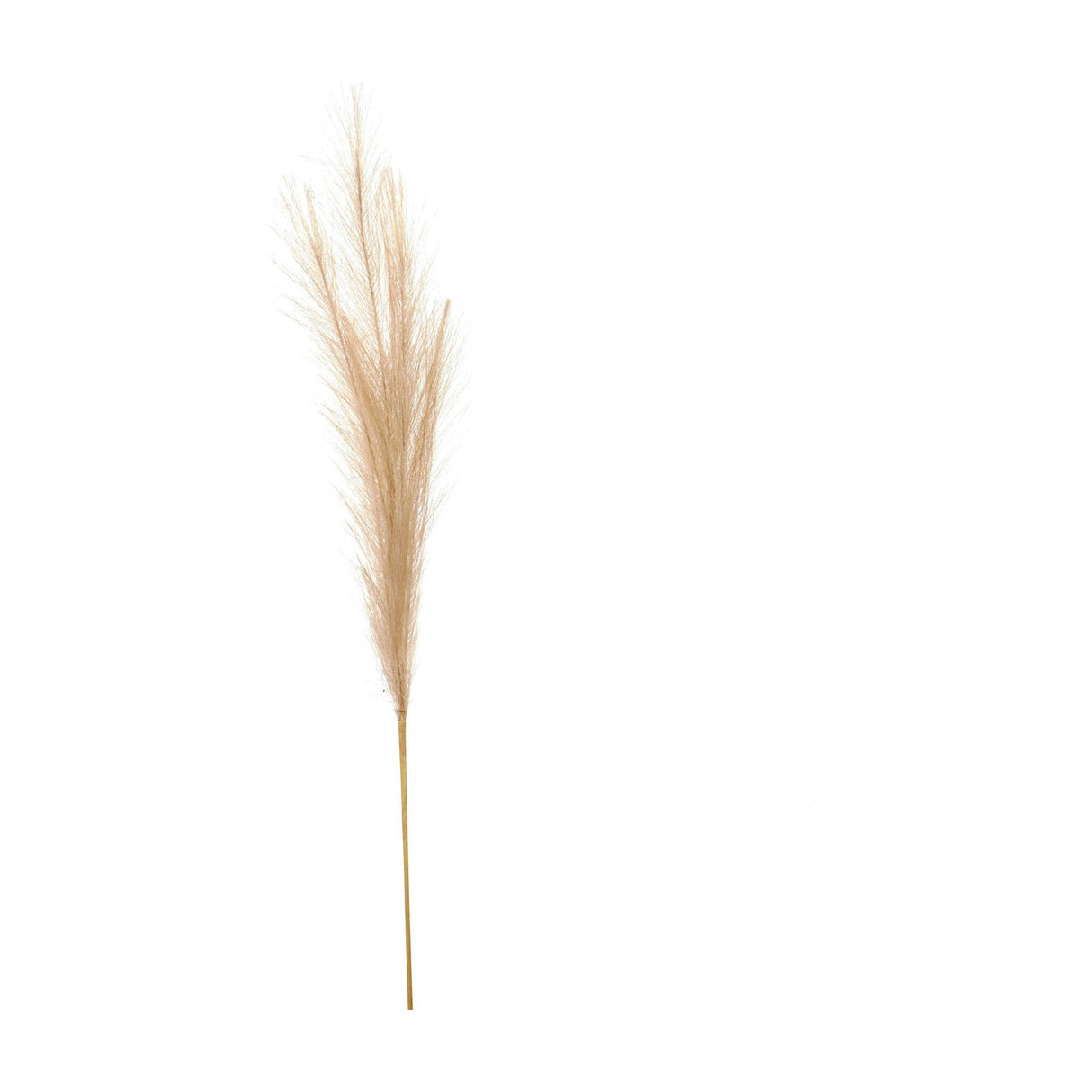 Hill Interiors bleached faux pampas grass stem with a full, feathery white plume on a slim natural stem, shown against a plain white background.