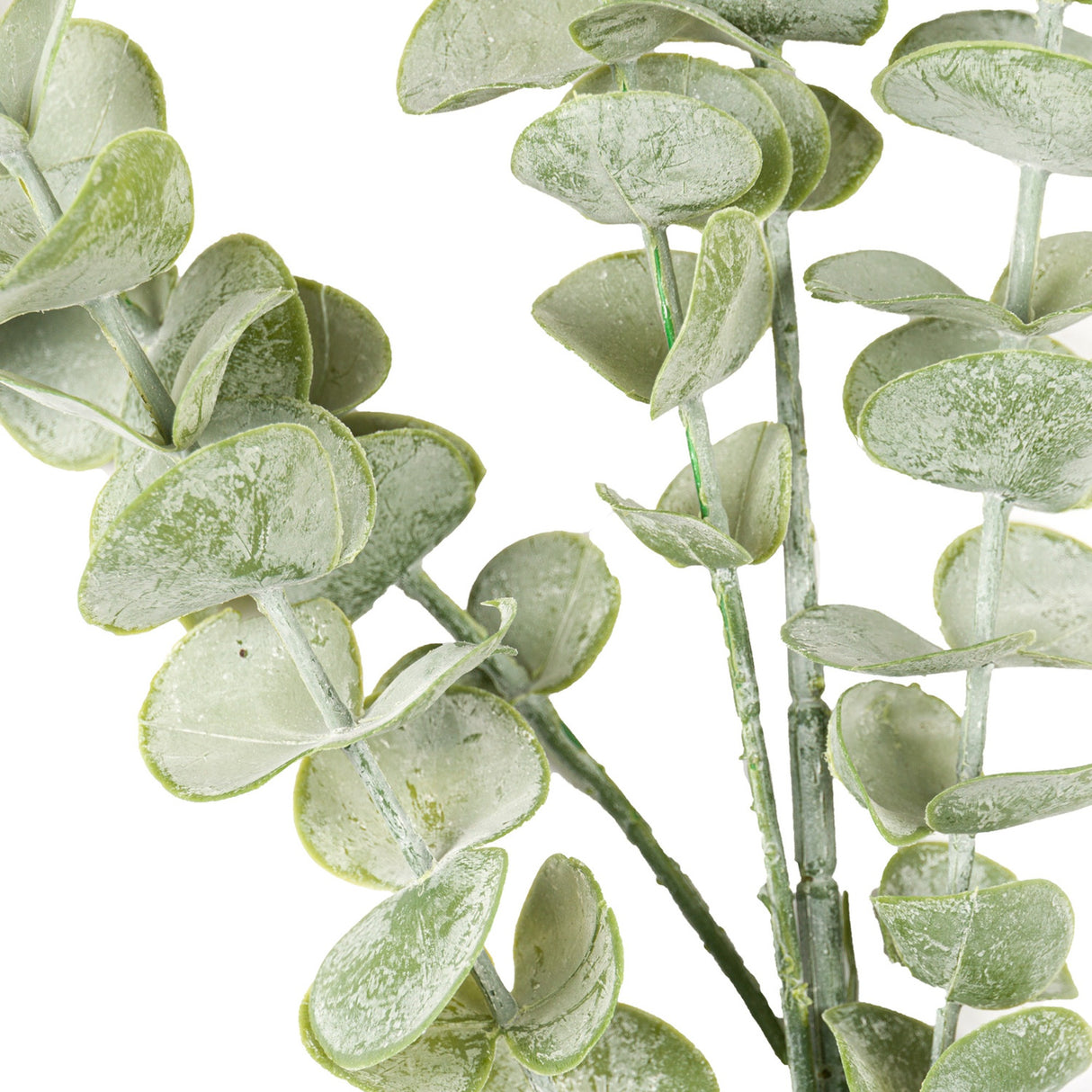 Close-up of Hill Interiors Gunnii Eucalyptus Spray showing rounded silvery-green plastic leaves with matt veining along slender grey-green stems.