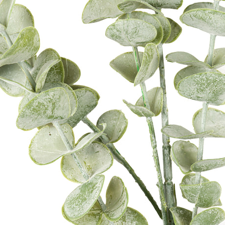Close-up of Hill Interiors Gunnii Eucalyptus Spray showing rounded silvery-green plastic leaves with matt veining along slender grey-green stems.