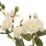 Hill Interiors Soft White Cottage Rose Stem with layered cream blooms, buds and veined green leaves on a plain white background.