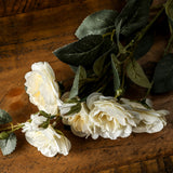 Hill Interiors Soft White Cottage Rose Stem with layered cream blooms, buds, and dark green leaves resting on a rustic wooden surface.
