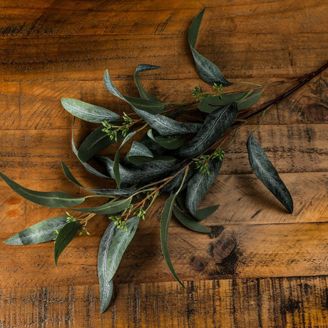 Hill Interiors Seeded Eucalyptus Spray with green moulded leaves and small seed clusters along arched stems, laid on a rustic wooden surface.