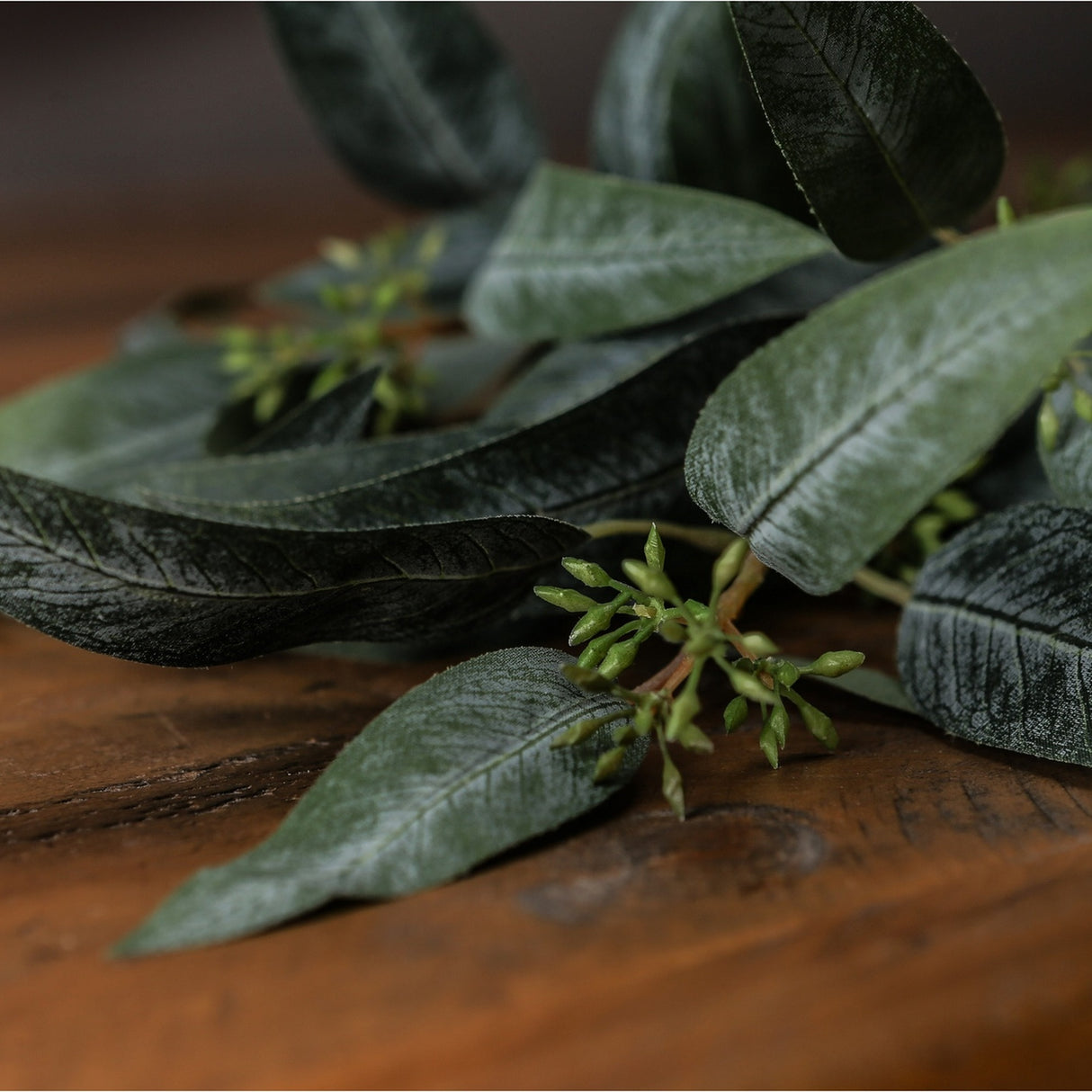 Close-up of Hill Interiors Seeded Eucalyptus Spray showing elongated green leaves and small seeded buds resting on a dark wooden surface.