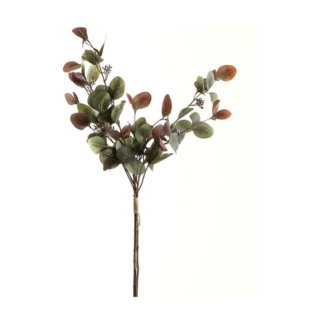 Hill Interiors Variegated Eucalyptus Bouquet with rounded green and burgundy leaves on arching branches tied with twine, on a plain white background.