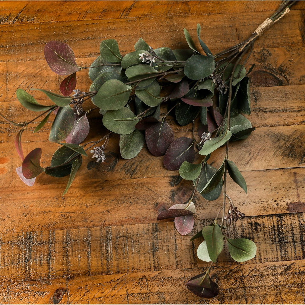 Hill Interiors Variegated Eucalyptus Bouquet with green and deep burgundy rounded leaves on arching stems, laid across a rustic wooden surface.