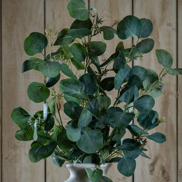 Hill Interiors Eucalyptus Stem Spray with rounded silvery-green plastic leaves on curving branches, arranged in a pale urn vase against wooden panelling.