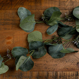 Hill Interiors Eucalyptus Stem Spray with rounded green leaves and small bud clusters along curving stems, laid across a rustic wooden surface.