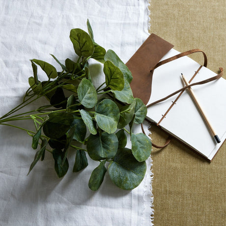 Hill Interiors Short Eucalyptus Bunch with silvery-green rounded leaves on slender stems, arranged on white linen beside a leather-bound notebook and pencil.