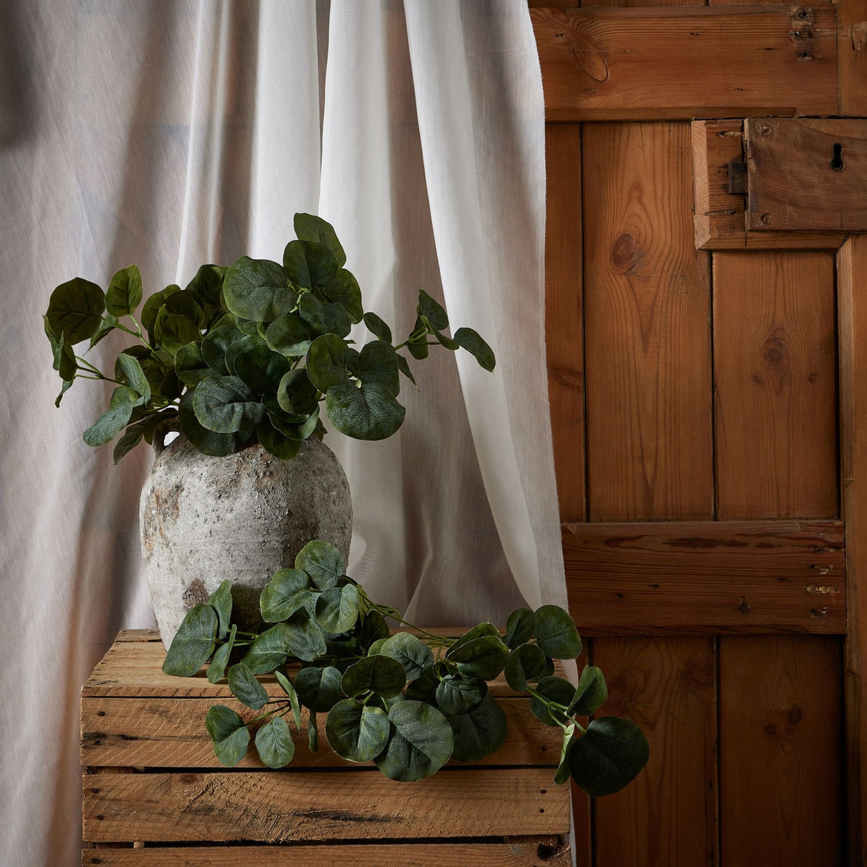 Hill Interiors Short Eucalyptus Bunch with rounded green leaves arranged in a rustic stone vase on a wooden crate beside linen drapes and a timber door.