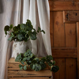 Hill Interiors Short Eucalyptus Bunch with rounded green leaves arranged in a rustic stone vase on a wooden crate beside linen drapes and a timber door.