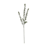 Hill Interiors Gunnii Blue Eucalyptus Spray with dense clusters of small rounded green leaves on a slim branching stem, shown on a plain white background.