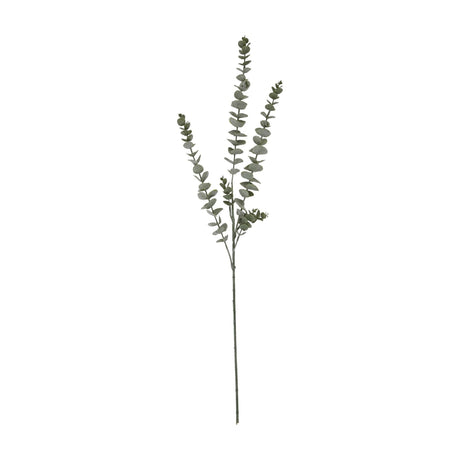Hill Interiors Gunnii Blue Eucalyptus Spray with dense clusters of small rounded green leaves on a slim branching stem, shown on a plain white background.