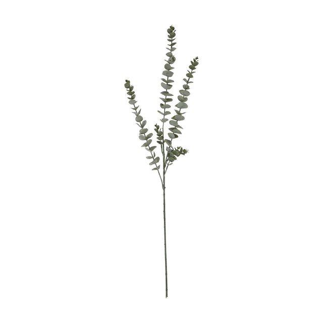 Hill Interiors Gunnii Blue Eucalyptus Spray with dense clusters of small rounded green leaves on a slim branching stem, shown on a plain white background.