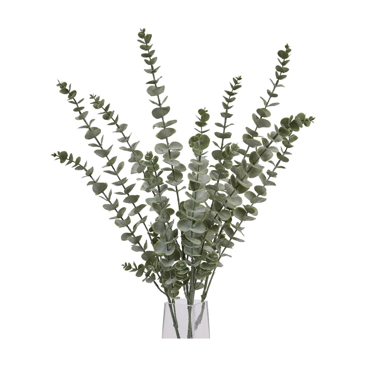 Hill Interiors Gunnii Blue Eucalyptus Spray with tall green faux stems and rounded leaves arranged in a clear glass vase on a white background.