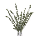 Hill Interiors Gunnii Blue Eucalyptus Spray with tall green faux stems and rounded leaves arranged in a clear glass vase on a white background.