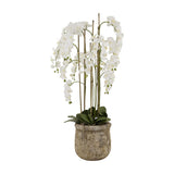 Hill Interiors Large White Orchid faux plant with tall arching stems of white Phalaenopsis blooms in an antique stone pot on a plain white background.