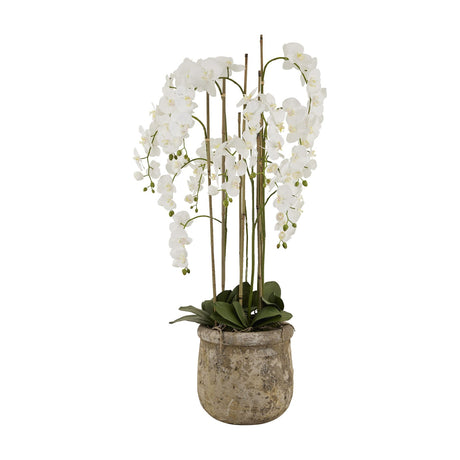 Hill Interiors Large White Orchid faux plant with tall arching stems of white Phalaenopsis blooms in an antique stone pot on a plain white background.