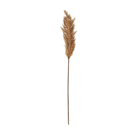 Hill Interiors Taupe Faux Dried Pampas Grass Stem with a full feathery beige plume on a slender brown stem, shown against a plain white background.