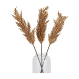Three Hill Interiors taupe faux dried pampas grass stems with feathery beige plumes arranged in a clear glass vase against a white background.