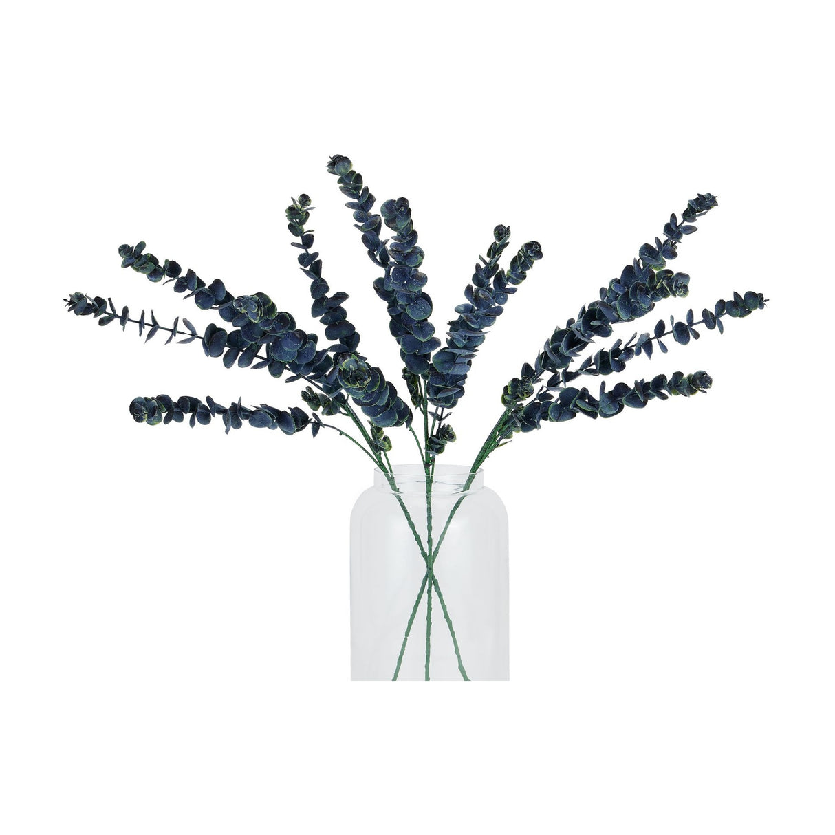 Hill Interiors Large Eucalyptus Stems with dark green rounded leaves arranged in a clear glass vase against a plain white background.