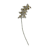 Tall white butterfly orchid stem by Hill Interiors with hand-finished Phalaenopsis blooms arcing from a slender green stem, shown on a plain white background.
