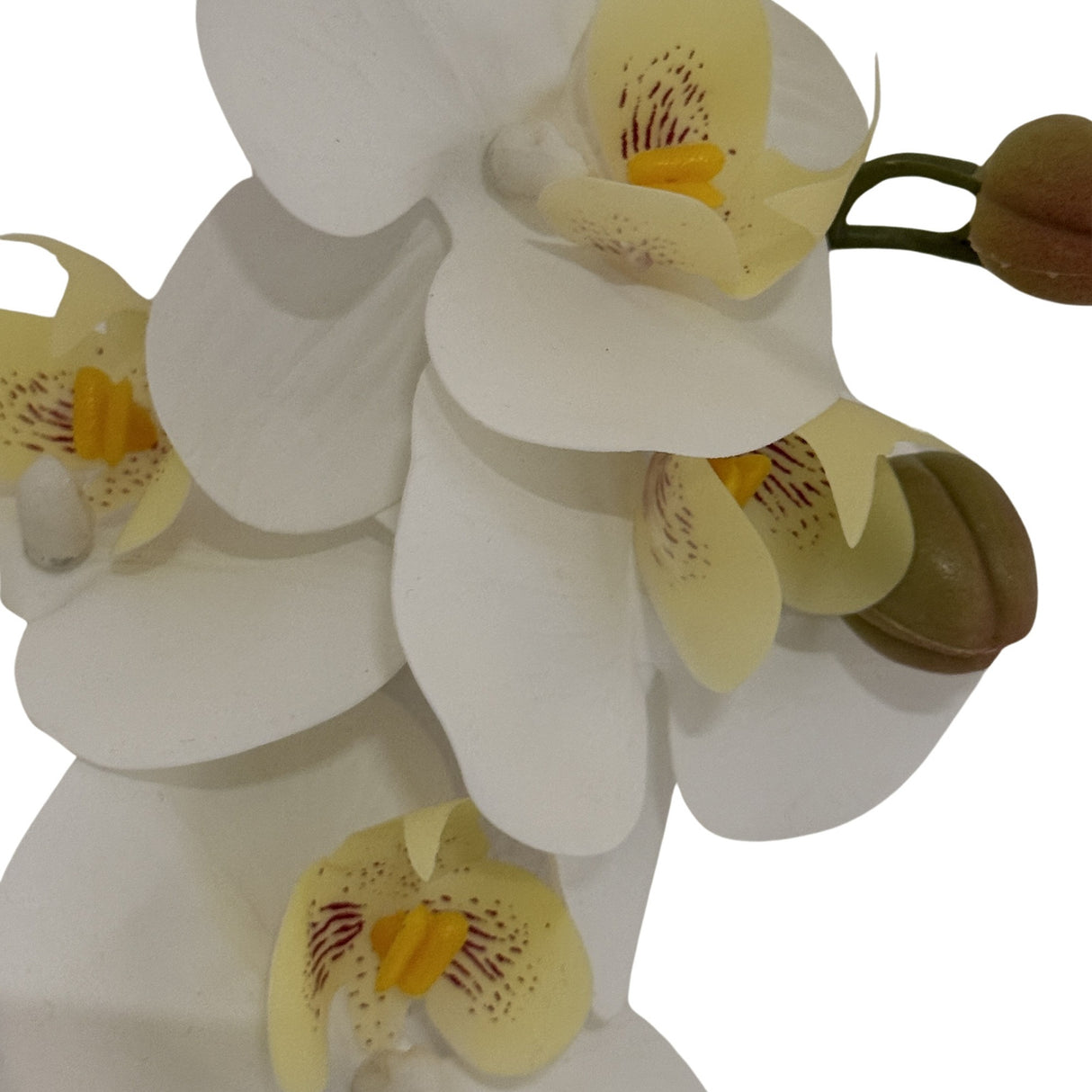 Close-up of the Hill Interiors Tall White Butterfly Orchid Stem showing white Phalaenopsis blooms with yellow throats, red markings and brown buds.