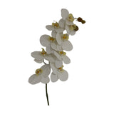 Hill Interiors Tall White Butterfly Orchid Stem, a 103cm faux Phalaenopsis with white petals, yellow throat detailing and buds, on a plain background.