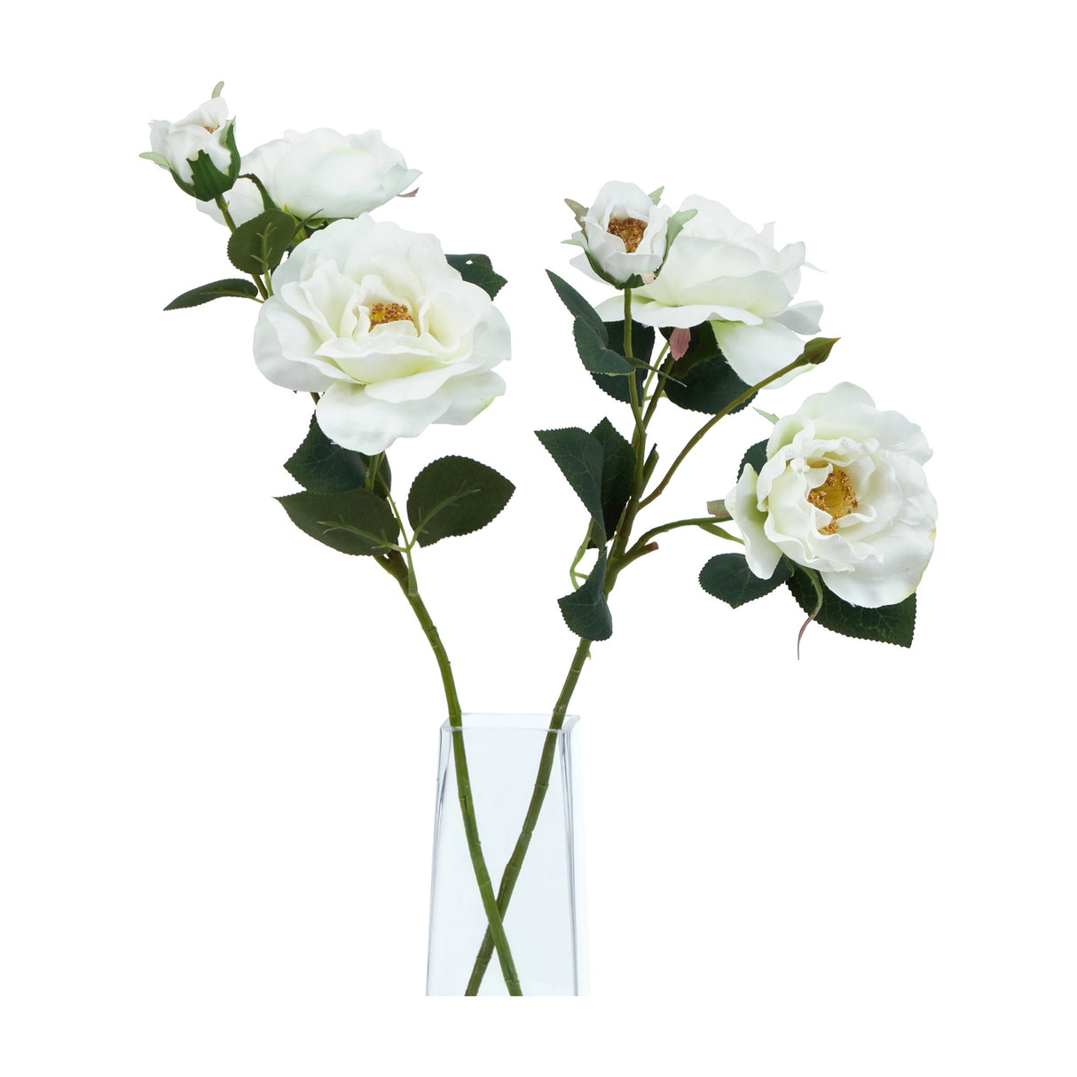Hill Interiors White Tea Rose faux stems with ruffled cream petals, yellow centres and green leaves, arranged in a clear glass vase on a white background.