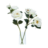 Hill Interiors White Tea Rose faux stems with ruffled cream petals, yellow centres and green leaves, arranged in a clear glass vase on a white background.